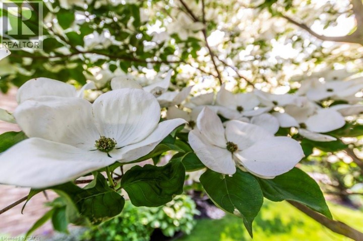Photo 38 at 747 Garden Court Crescent, Woodstock Photo 38 at 747 Garden Court Crescent, Woodstock