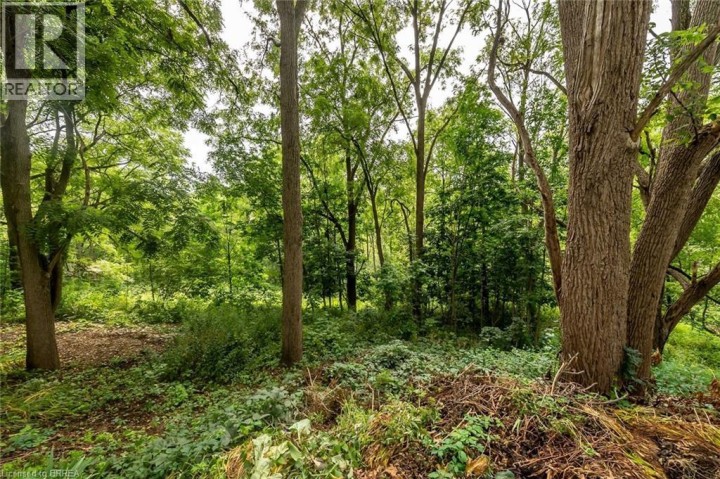 Photo 46 at 197 Grand River Street N, Innerkip, Woodstock Photo 46 at 197 Grand River Street N, Innerkip, Woodstock